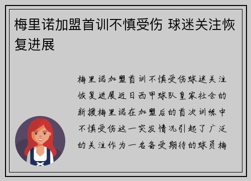 梅里诺加盟首训不慎受伤 球迷关注恢复进展 梅里诺加盟首训不慎受伤 球迷关注恢复进展